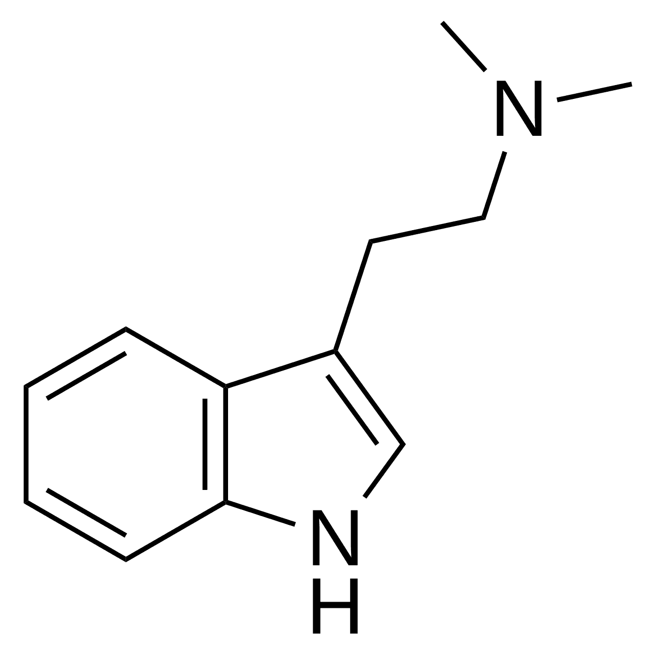 Dimethyltryptamine - Wikipedia