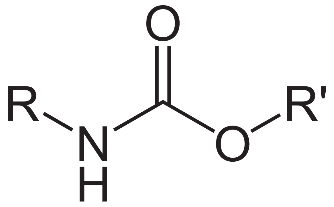 Carbamate — Wikipédia