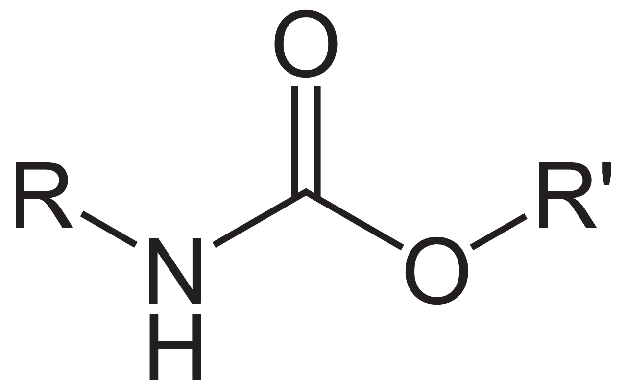 Carbamate — Wikipédia