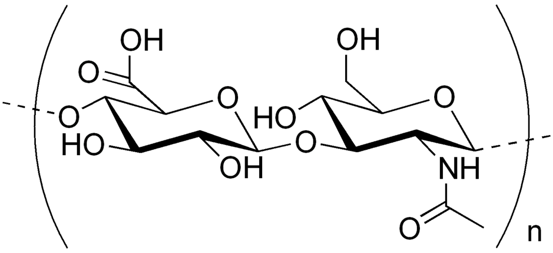 Acide hyaluronique — Wikipédia
