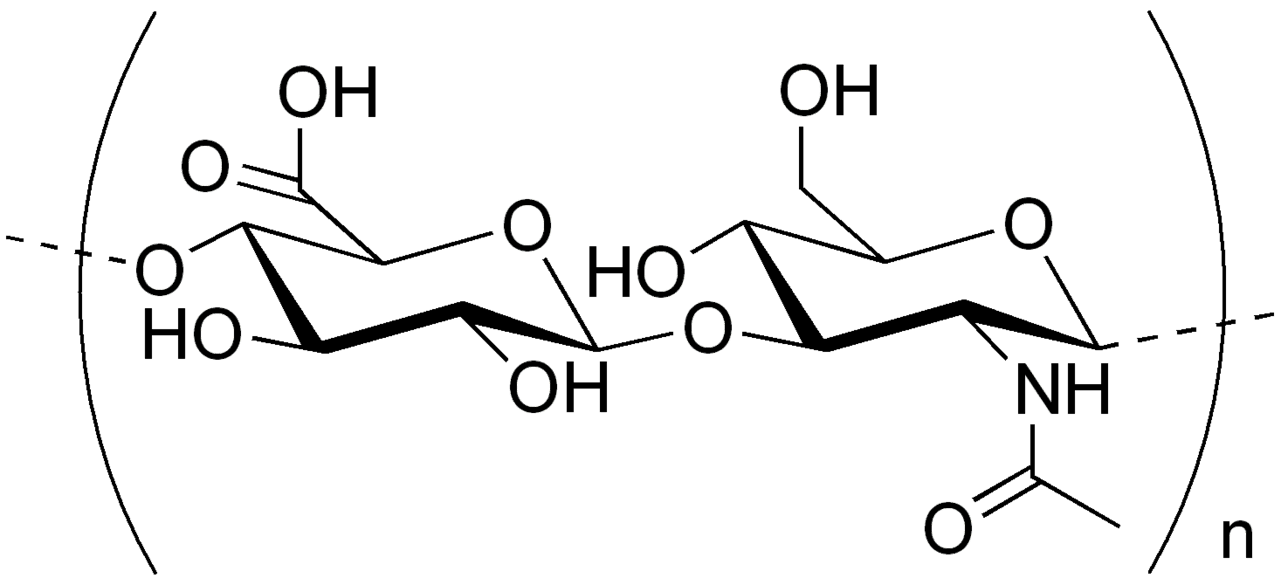 Acide hyaluronique — Wikipédia