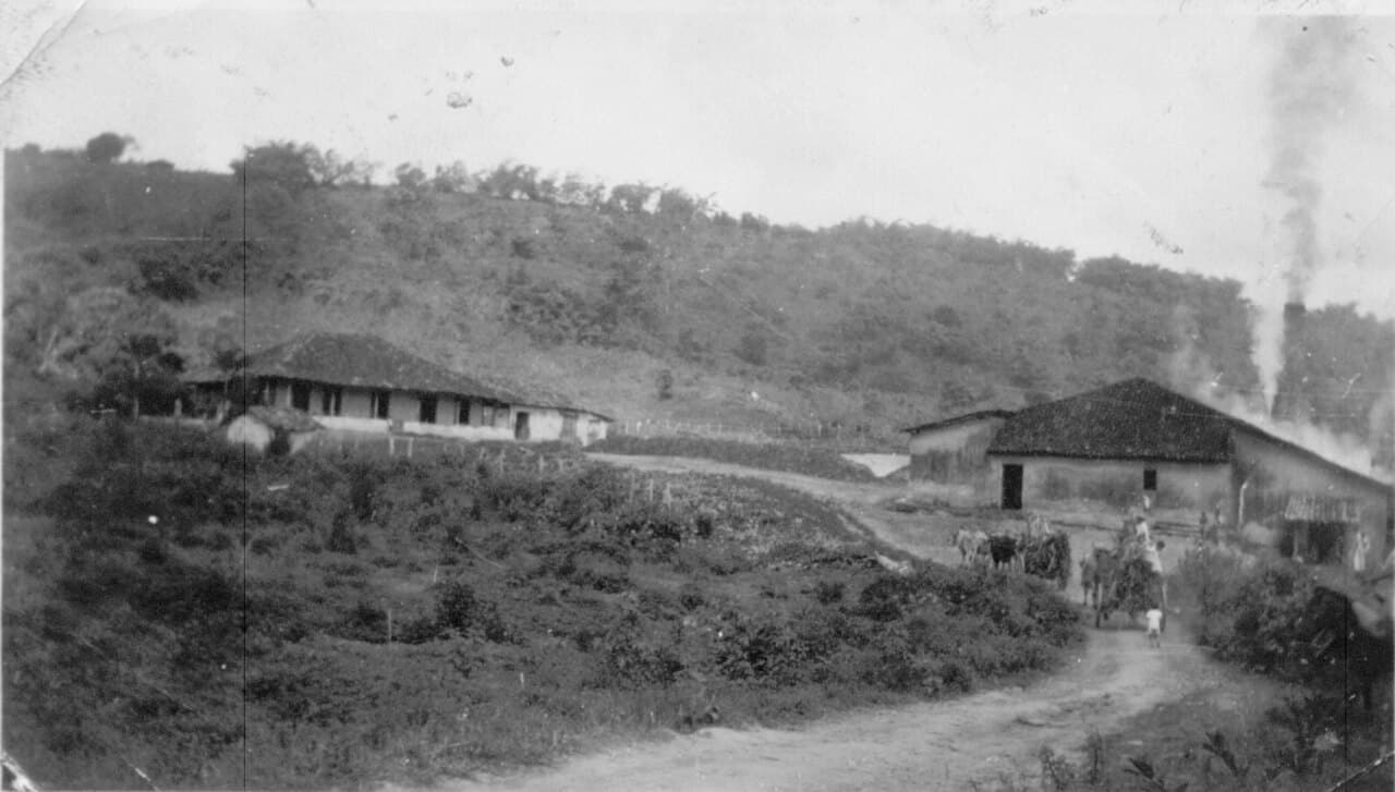 Agriculture au Brésil — Wikipédia