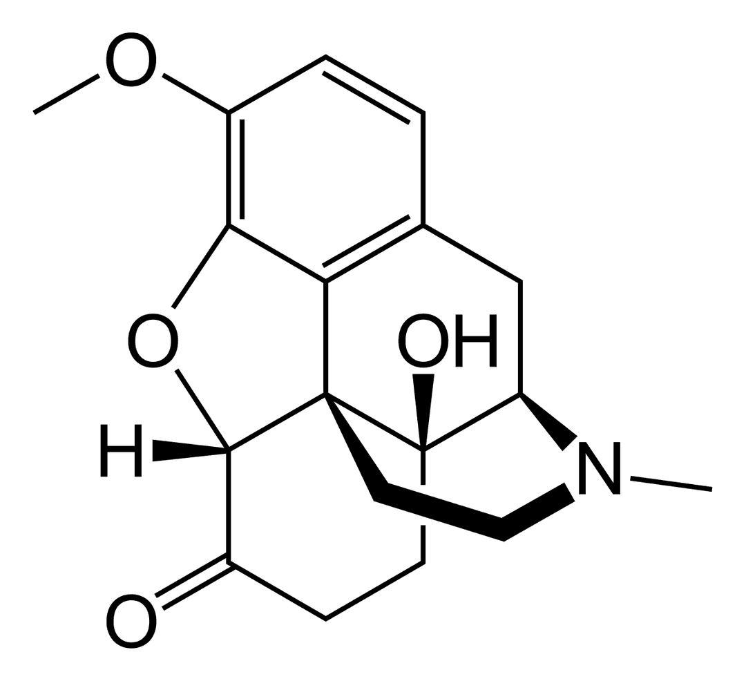 Oxycodone — Wikipédia