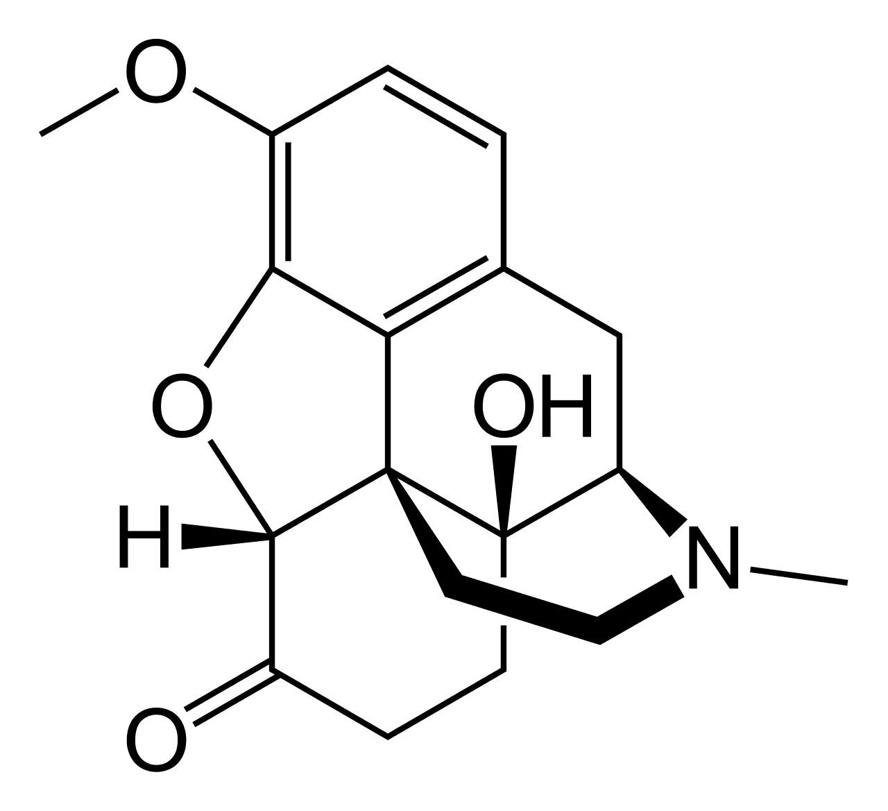 Oxycodone — Wikipédia