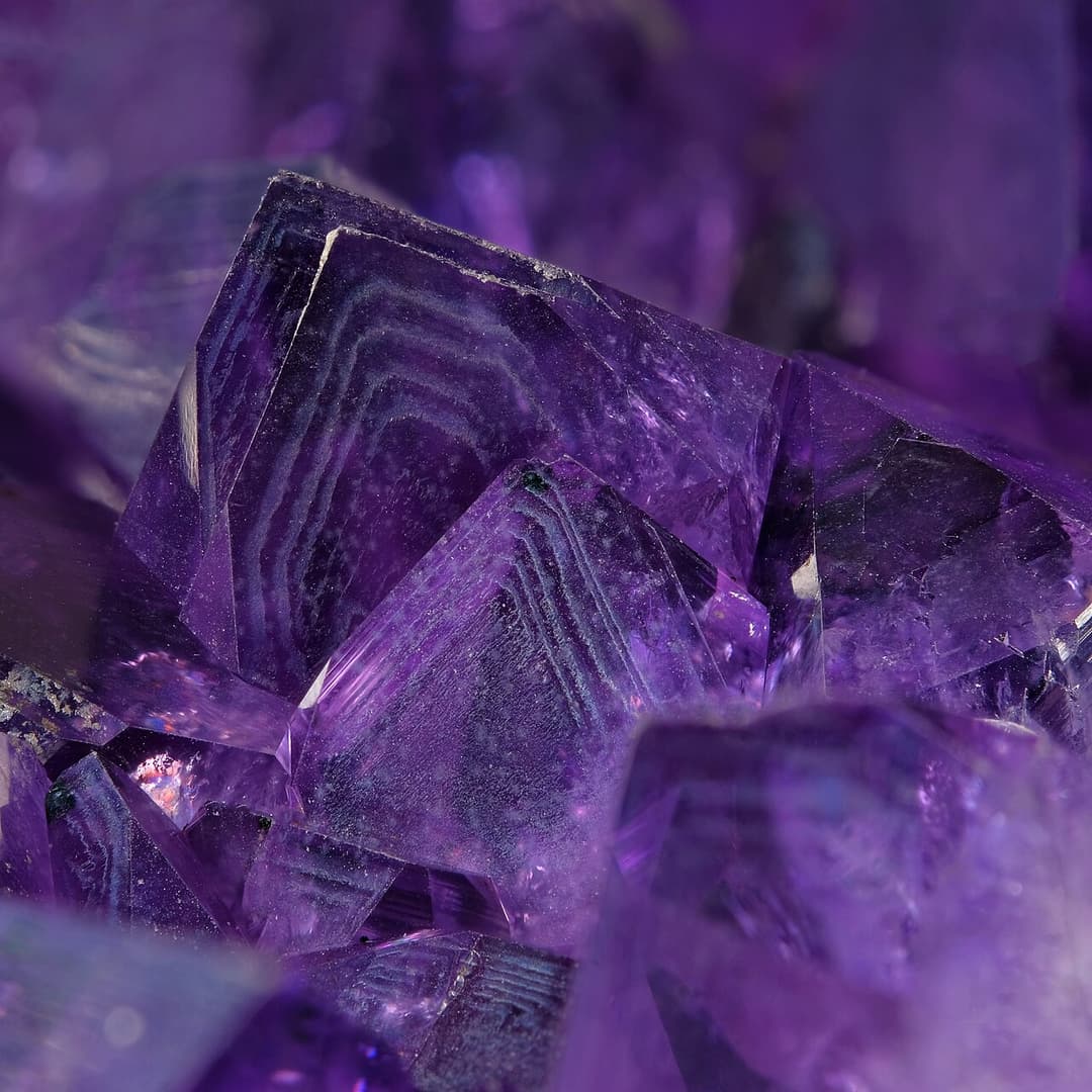 Violet (color) - Wikipedia