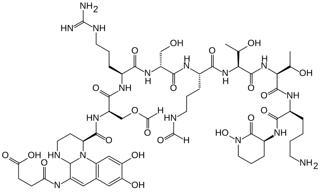 Pyoverdine - Wikipedia