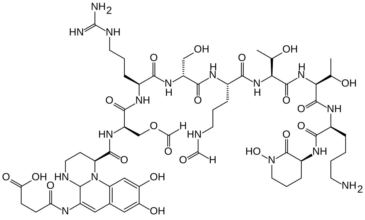 Pyoverdine - Wikipedia
