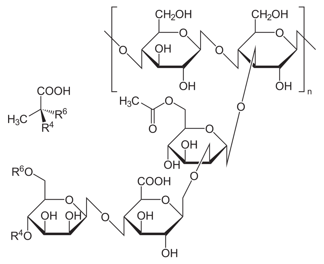 Xanthan gum - Wikipedia