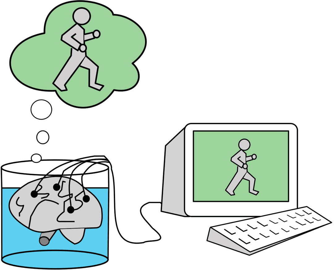 Brain in a vat - Wikipedia