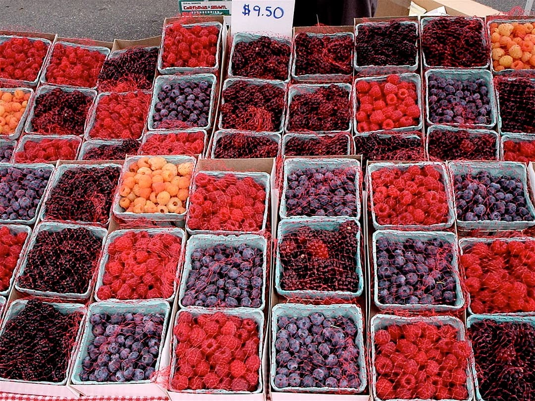 Composé phytochimique — Wikipédia