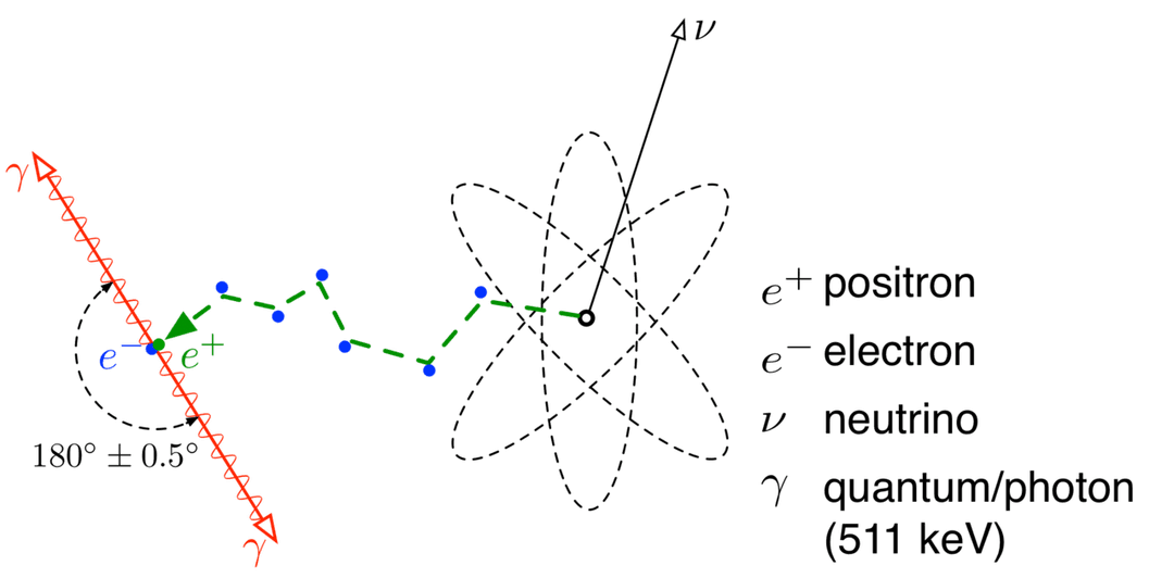 Annihilation électron-positron — Wikipédia