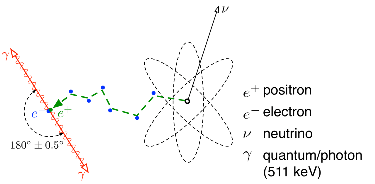 Annihilation électron-positron — Wikipédia