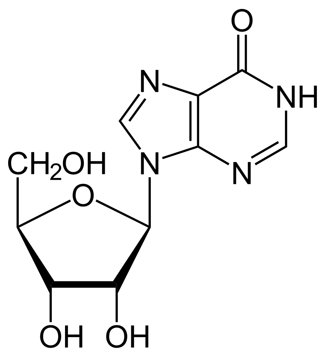 Inosine — Wikipédia