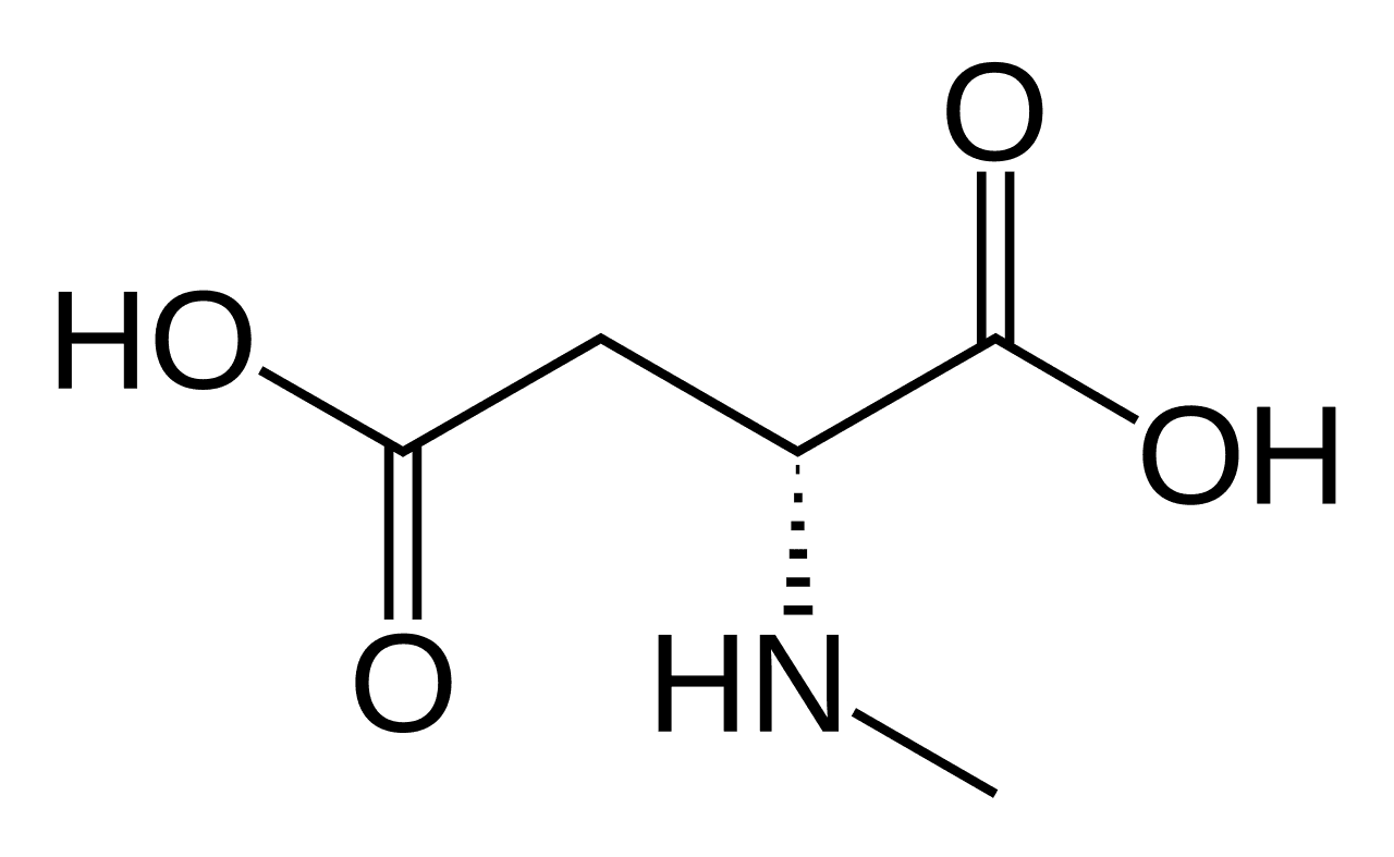 N-Methyl-D-aspartic acid - Wikipedia
