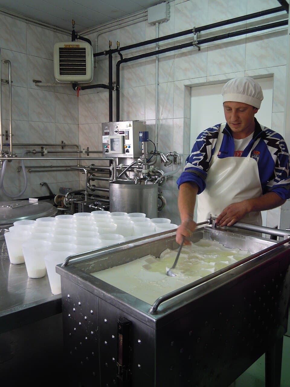 Laiterie (agriculture) — Wikipédia