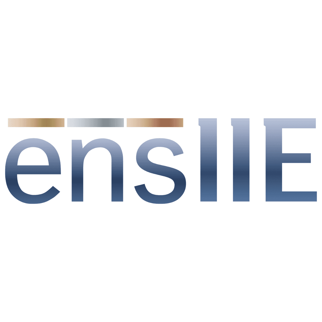 École nationale supérieure d'informatique pour l'industrie et l'entreprise - Wikipedia