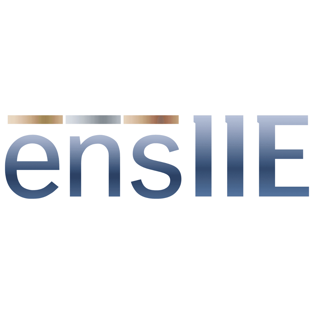 École nationale supérieure d'informatique pour l'industrie et l'entreprise - Wikipedia