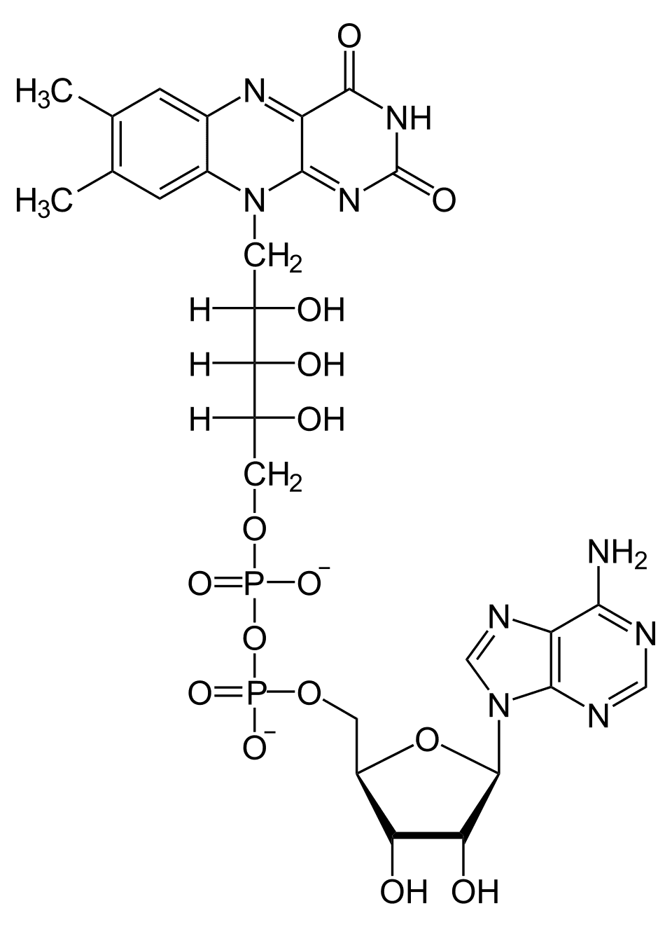 Dinucléotide flavine-adénine — Wikipédia