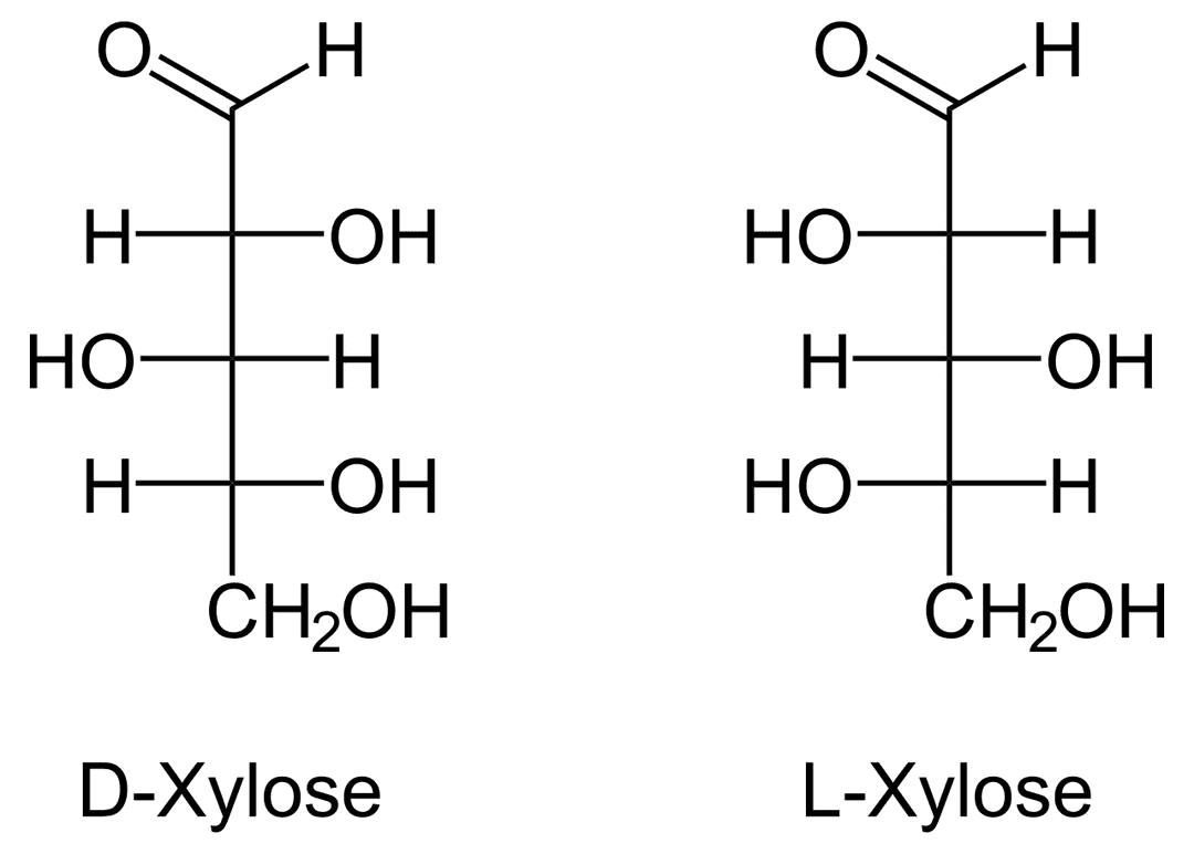 Xylose — Wikipédia