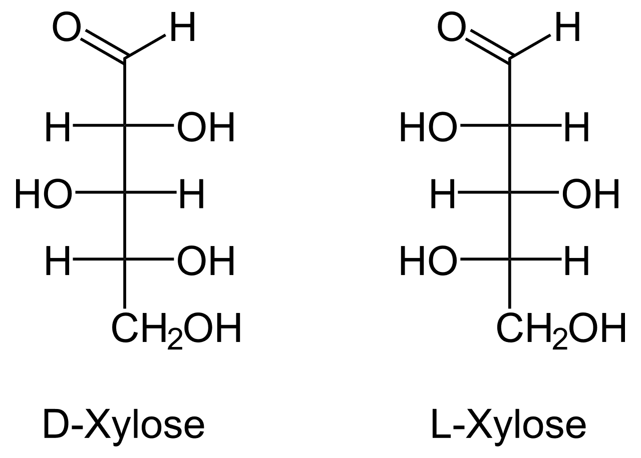 Xylose — Wikipédia