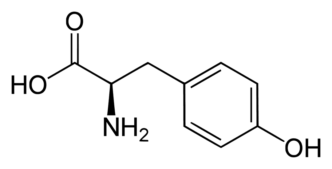 Tyrosine — Wikipédia