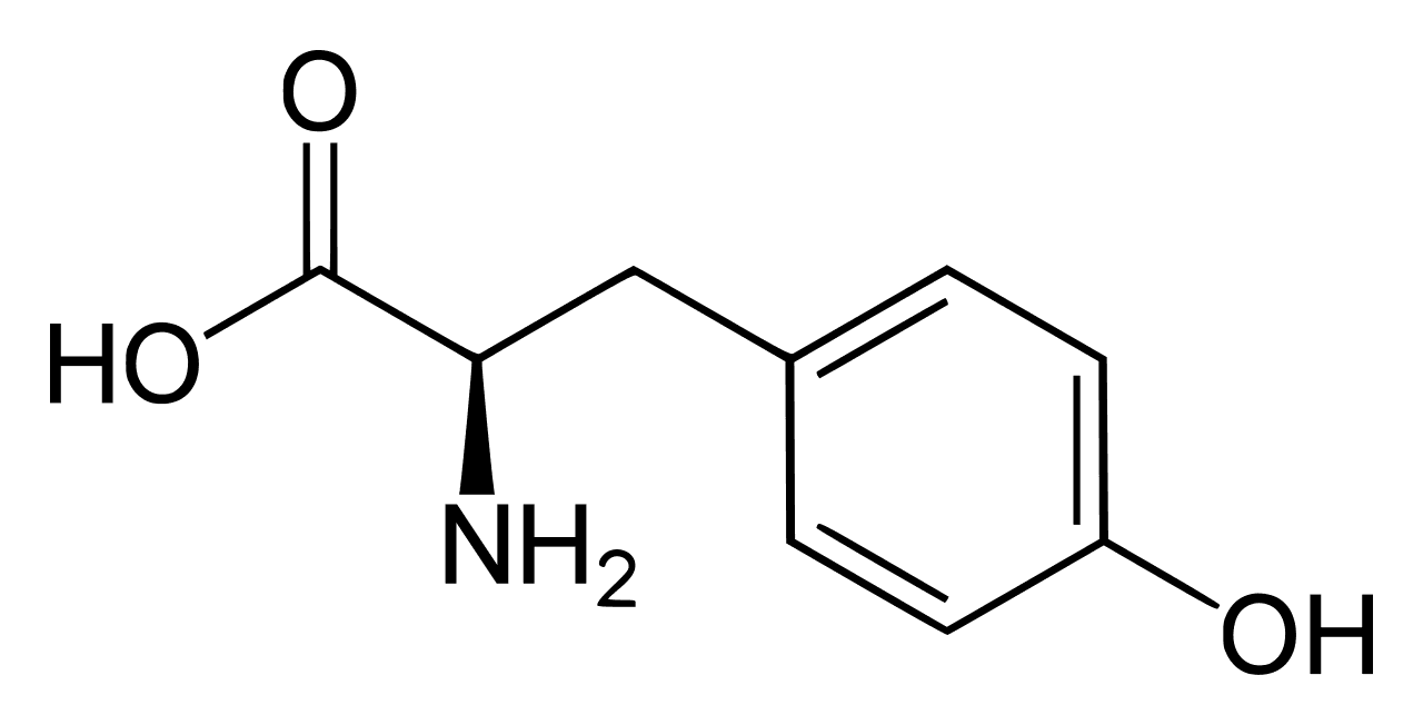 Tyrosine — Wikipédia