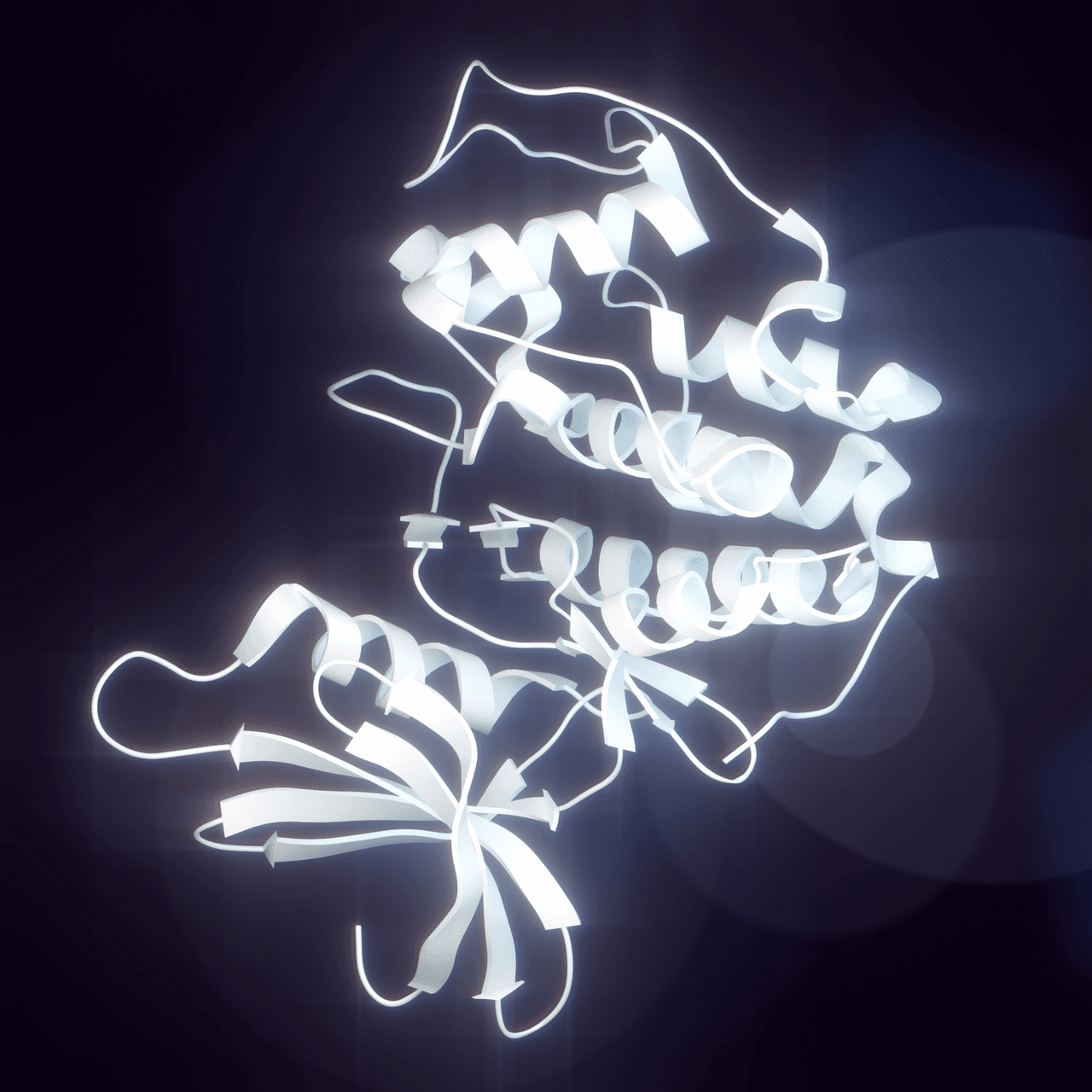 Cyclin-dependent kinase 1 - Wikipedia