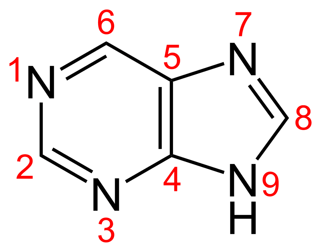 Purine - Wikipedia