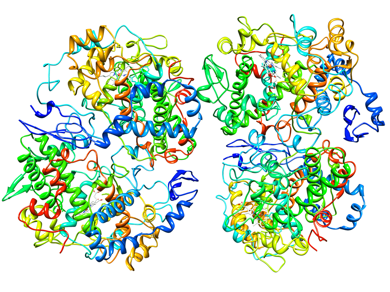 Cyclooxygenase-2 - Wikipedia