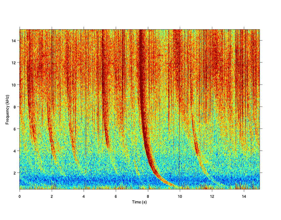 Radio atmospheric signal - Wikipedia