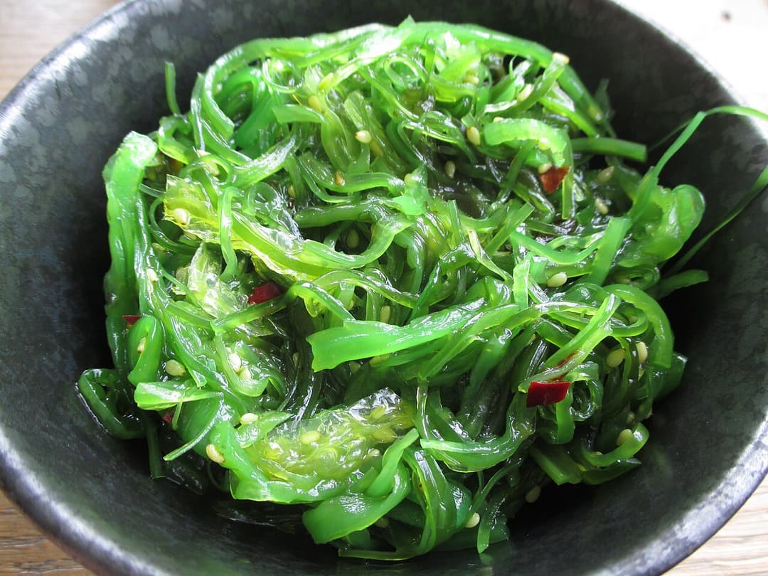 Algue alimentaire — Wikipédia