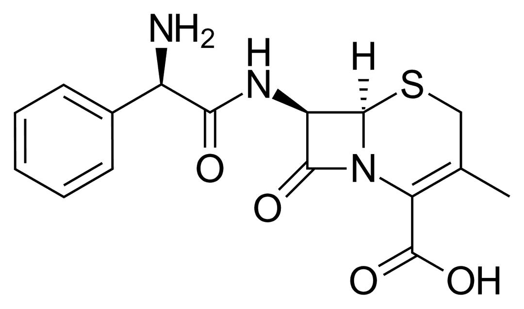 Cefalexin - Wikipedia