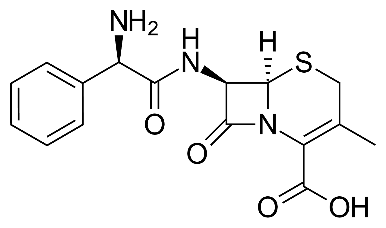 Cefalexin - Wikipedia