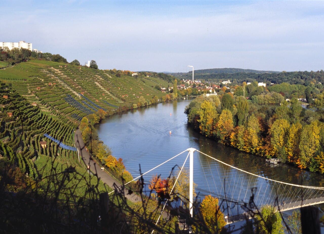 Neckar — Wikipédia