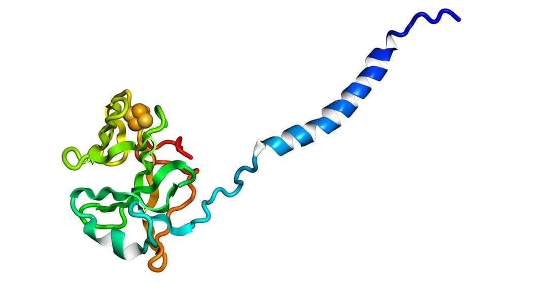 Rieske protein - Wikipedia