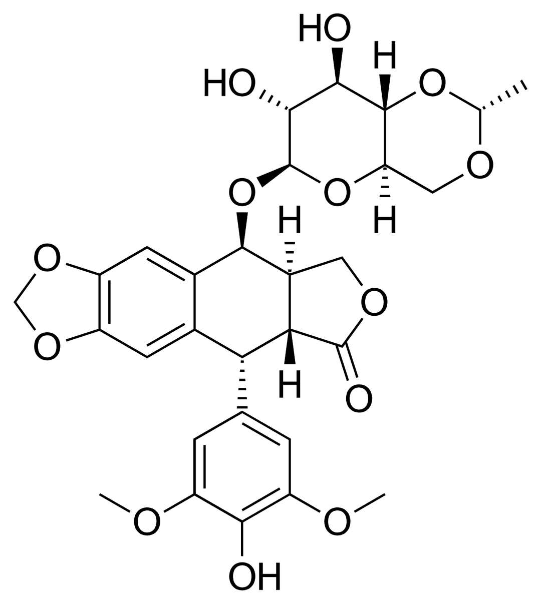 Etoposide - Wikipedia