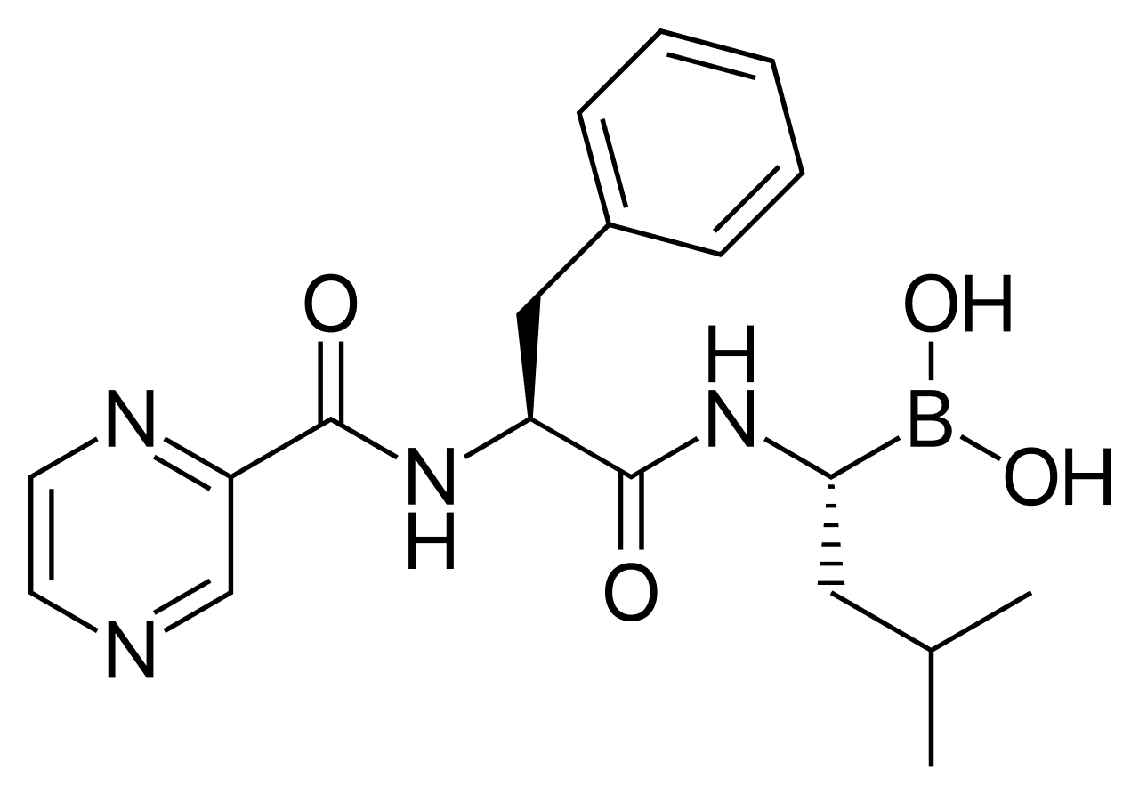 Bortezomib - Wikipedia