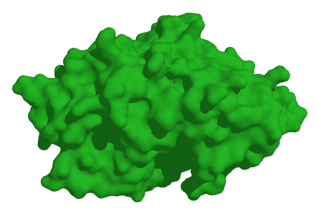Lyase — Wikipédia
