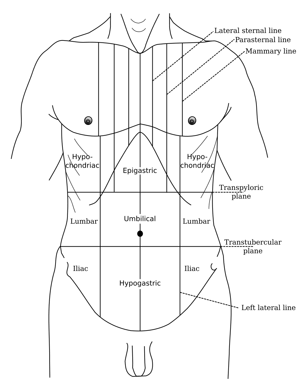 Abdominal pain - Wikipedia