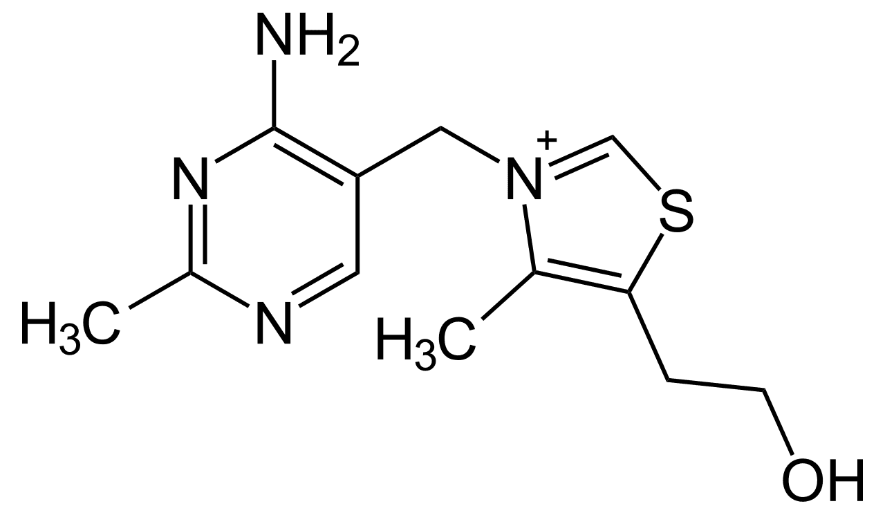 Vitamine B1 — Wikipédia