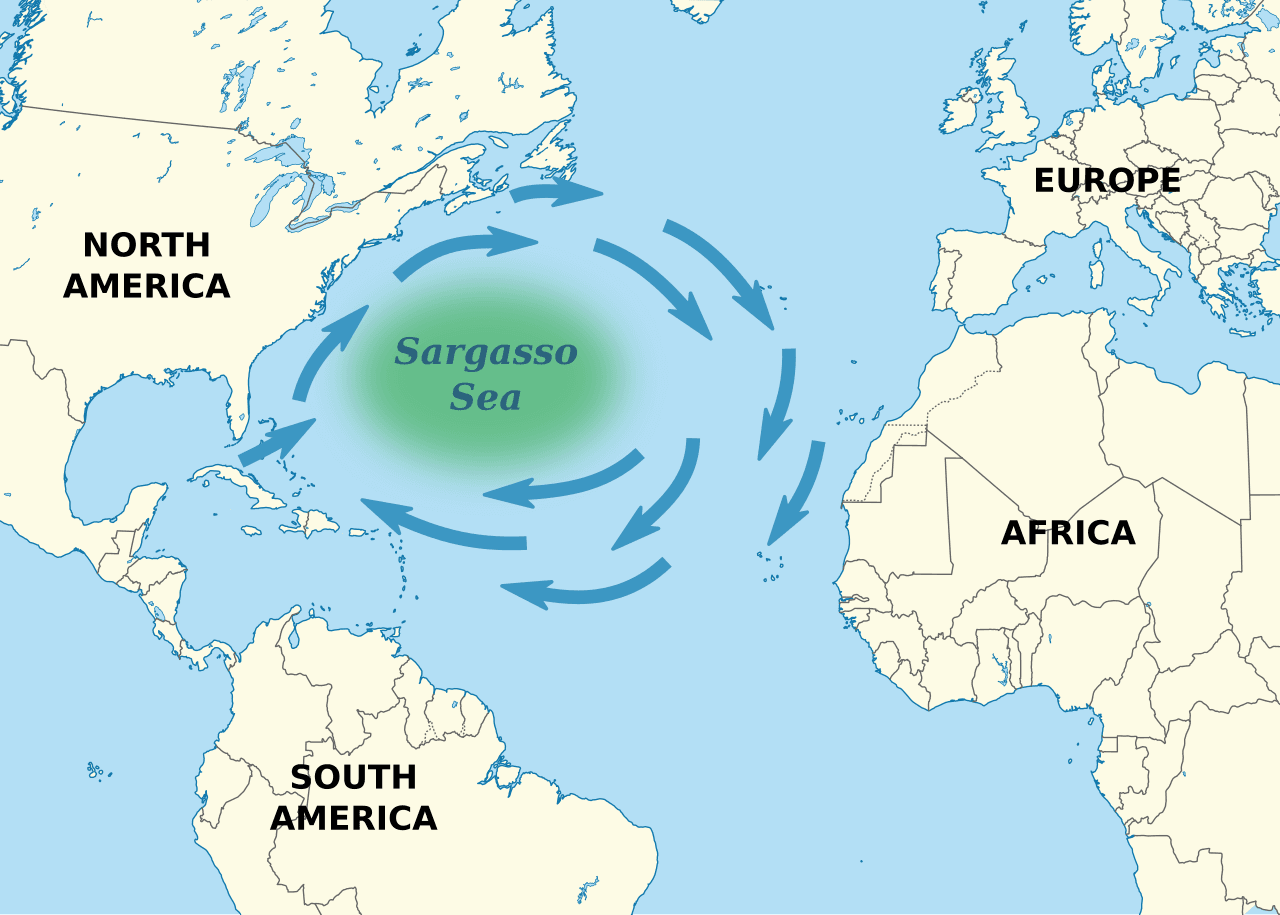 Mer des Sargasses — Wikipédia