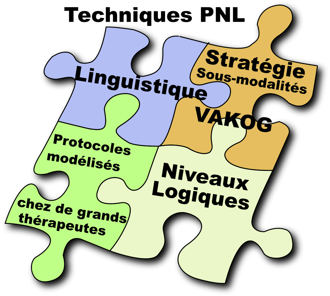 Programmation neuro-linguistique — Wikipédia